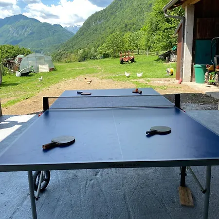 Apartmaji Iris Kobarid