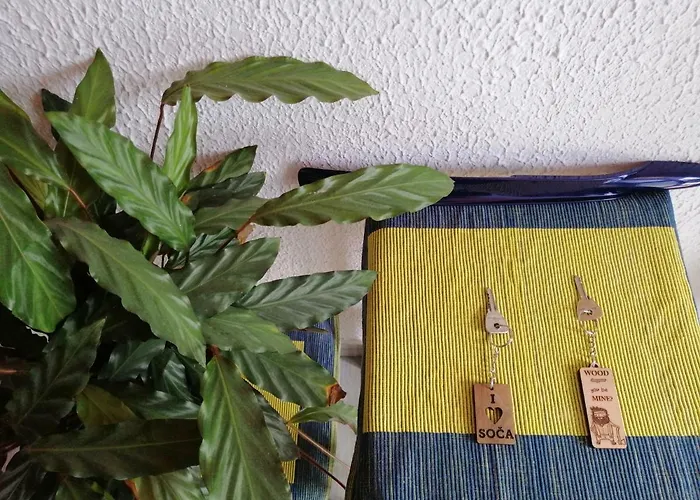 Appartamento Apartmaji Iris